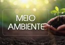 Bom Jesus conquista Selo “A” Ambiental pelo quinto ano consecutivo