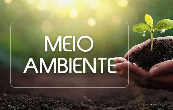 Bom Jesus conquista Selo “A” Ambiental pelo quinto ano consecutivo