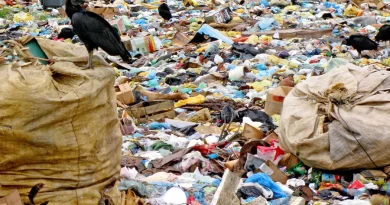 Prefeituras do Piauí têm até 30 de abril para regularizar cadastro de resíduos sólidos e garantir recursos