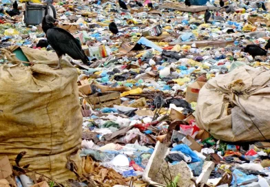 Prefeituras do Piauí têm até 30 de abril para regularizar cadastro de resíduos sólidos e garantir recursos