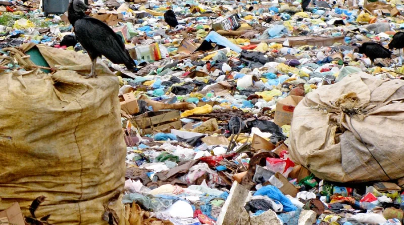 Prefeituras do Piauí têm até 30 de abril para regularizar cadastro de resíduos sólidos e garantir recursos