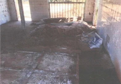 Justiça manda prefeito de Bertolínia interditar matadouro público por condições sanitárias precárias