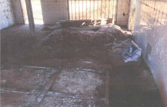 Justiça manda prefeito de Bertolínia interditar matadouro público por condições sanitárias precárias