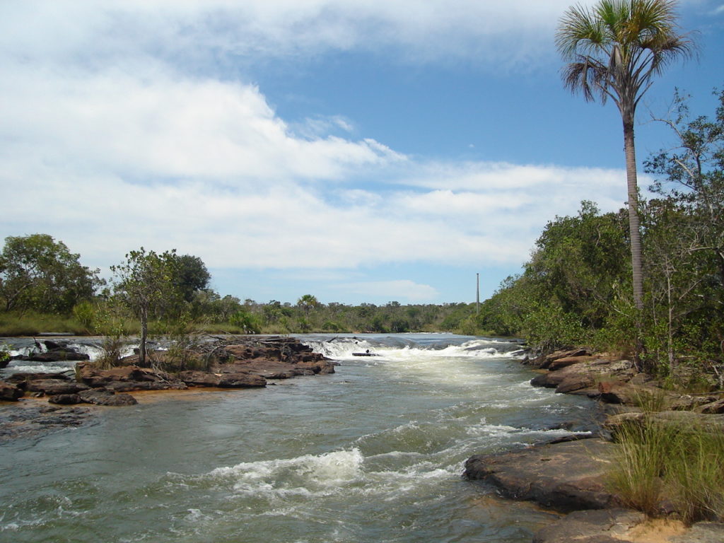 A morte do Cerrado significa perder nossa segurança hídrica e alimentar