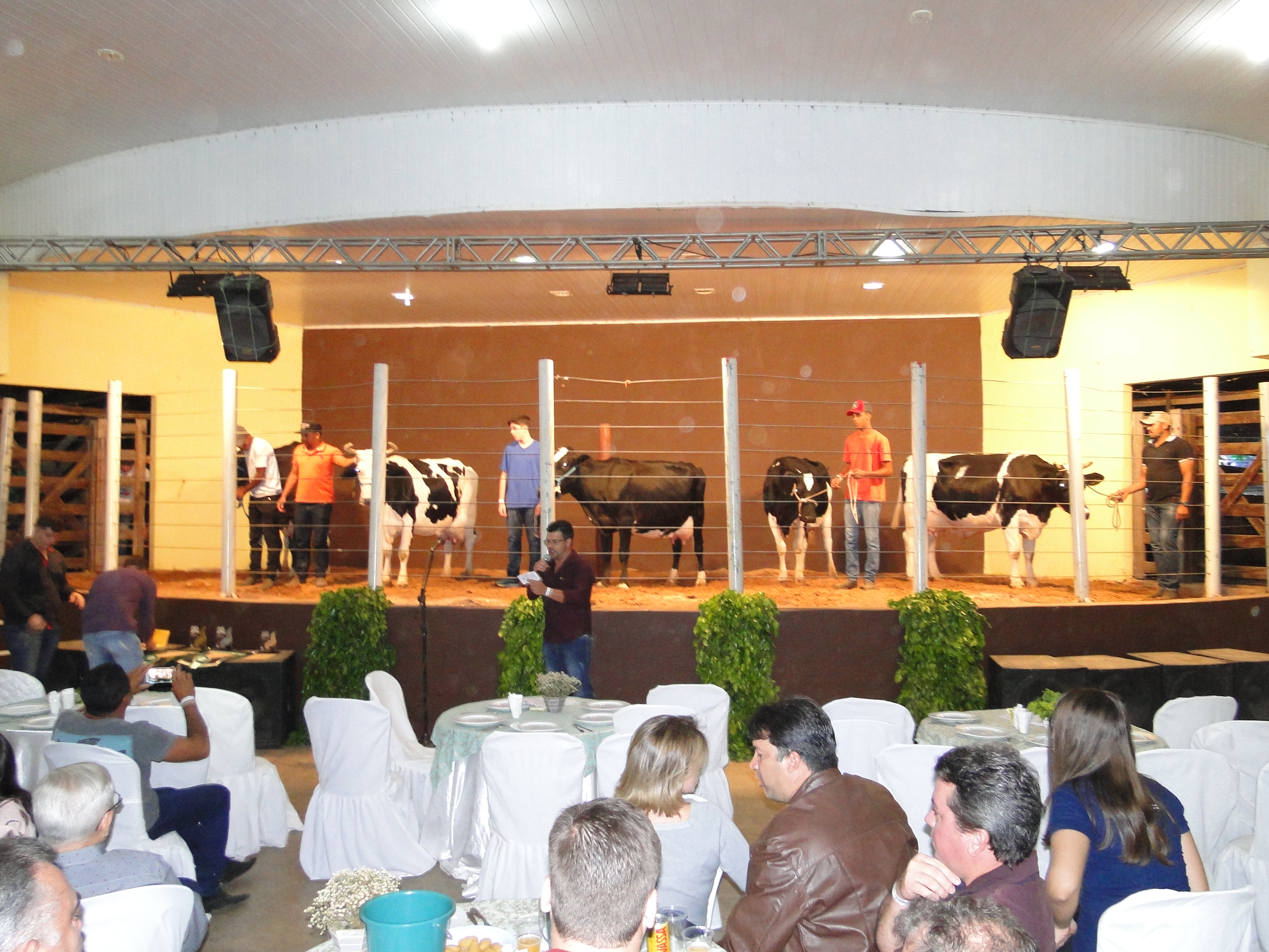 1º dia de Leilão na ExpoCorrente aquece mercado de gado de leite e ovinos e caprinos