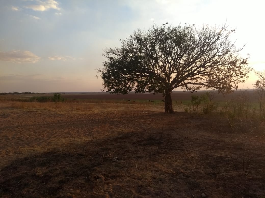 Secretaria de Meio Ambiente de Parnaguá realiza ações para revitalização da lagoa