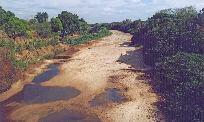 ONG “Despertar Rio Gurguéia” vai reunir em Jerumenha para eleger novo presidente