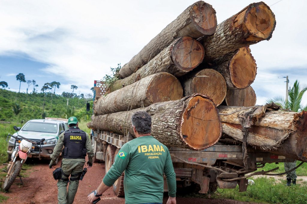 Servidores federais do meio ambiente decidem entrar em greve