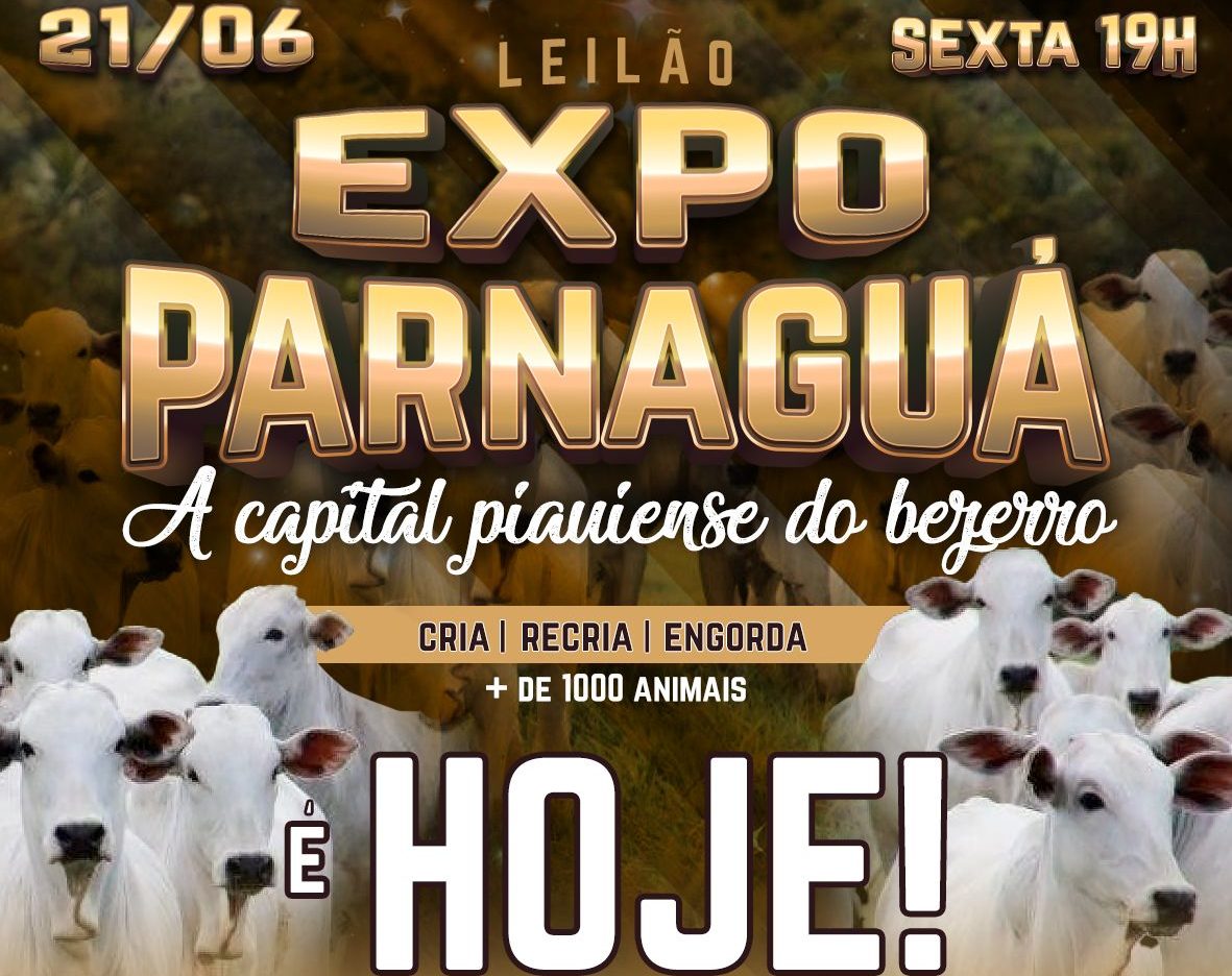 Leilão da ExpoParnaguá acontece hoje ofertando mais de mil animais