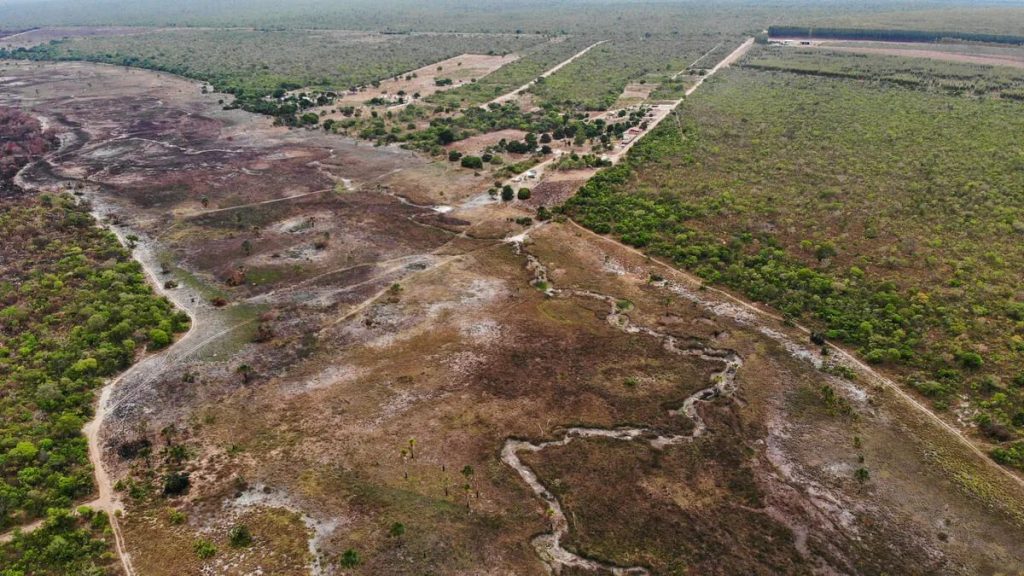 Com o aumento do desmatamento no Piauí, nova lei ambiental é debatida