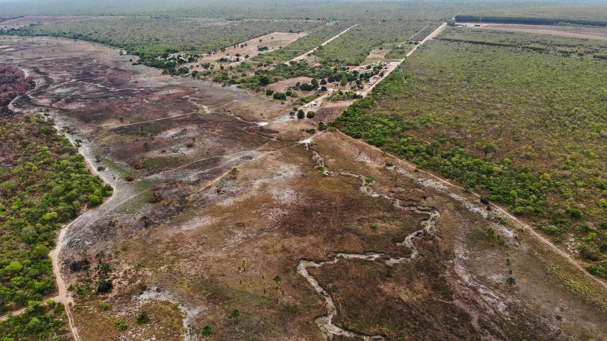 Com o aumento do desmatamento no Piauí, nova lei ambiental é debatida