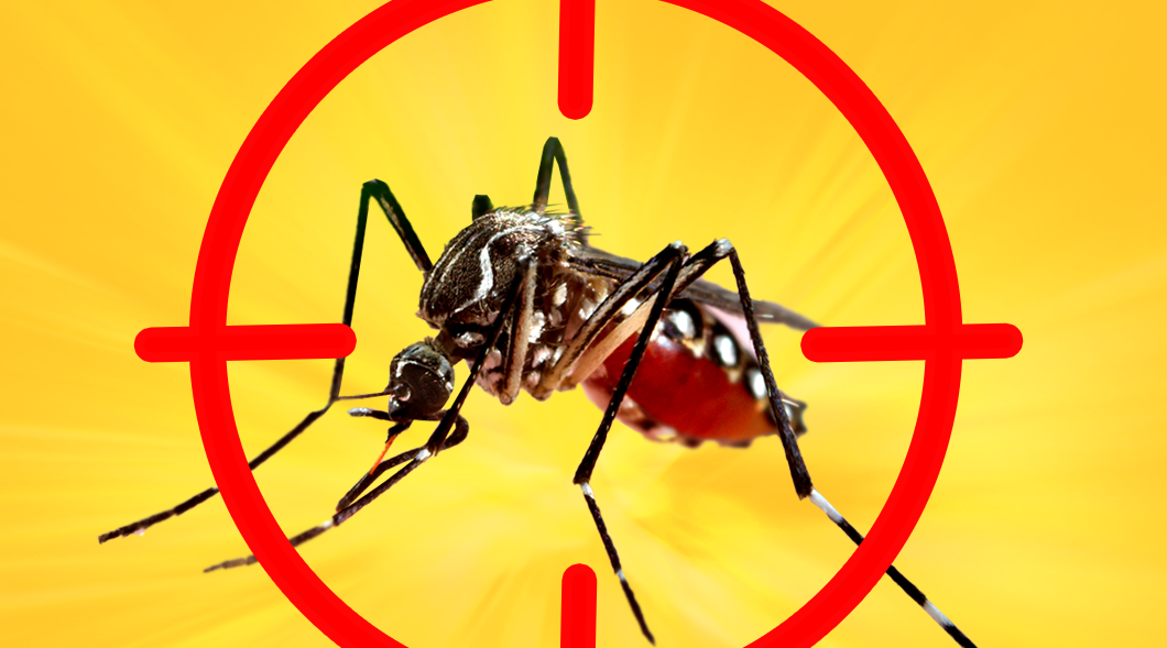 Brasil tem mais mortes por dengue em seis meses que em sete anos somados