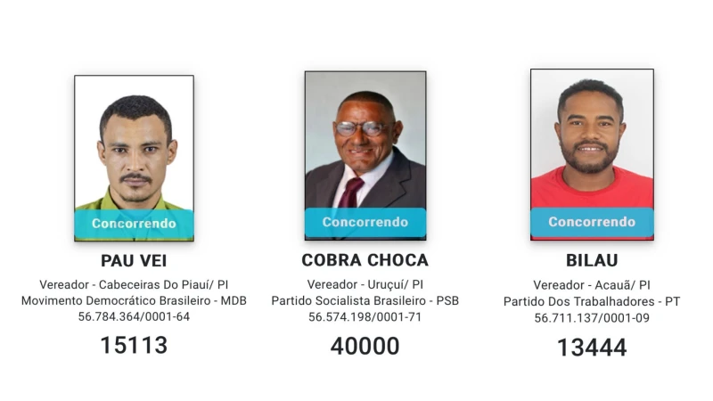 De “Casca de Bala” a “Cobra Choca”, veja nomes curiosos de candidatos no Piauí
