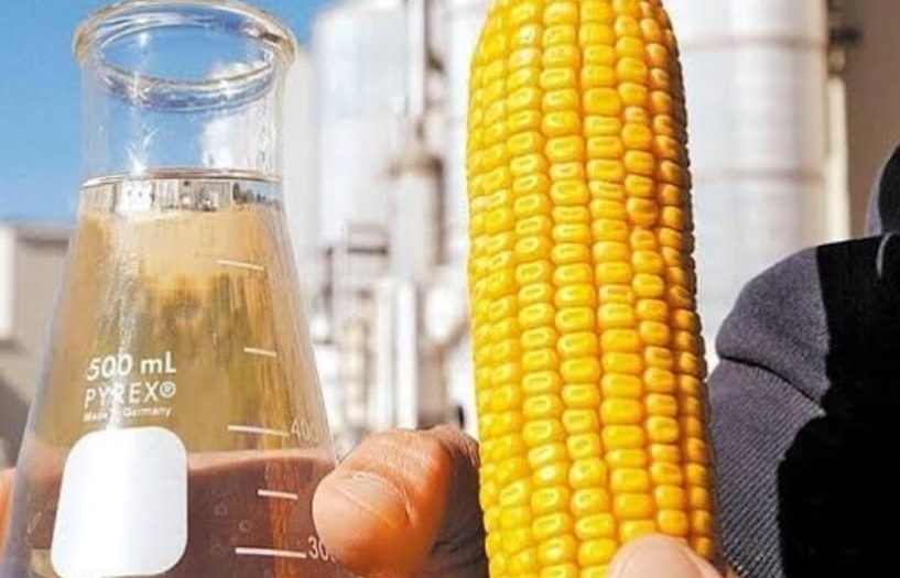 Projeto Nordeste Bioenergia: Piauí avançará na produção de etanol de milho