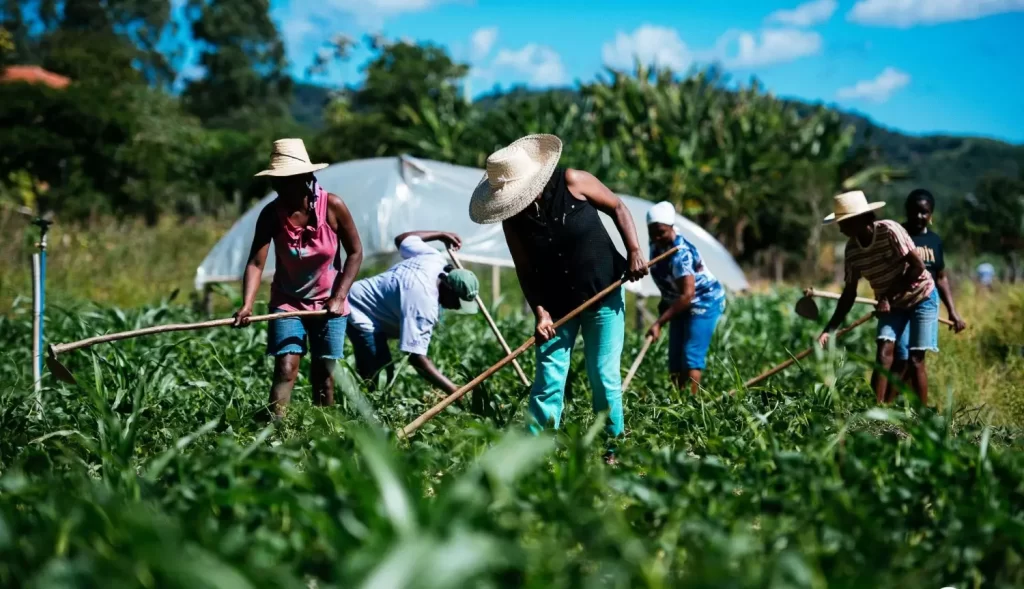 Garantia Safra: prazo para inscrição de agricultores familiares de 69 municípios é prorrogado