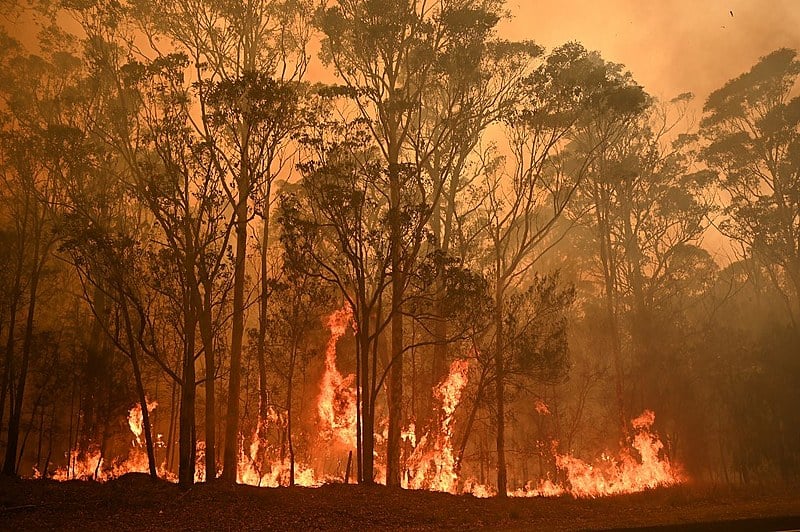 Governo publica portaria que proíbe o uso do fogo em todo o Piauí