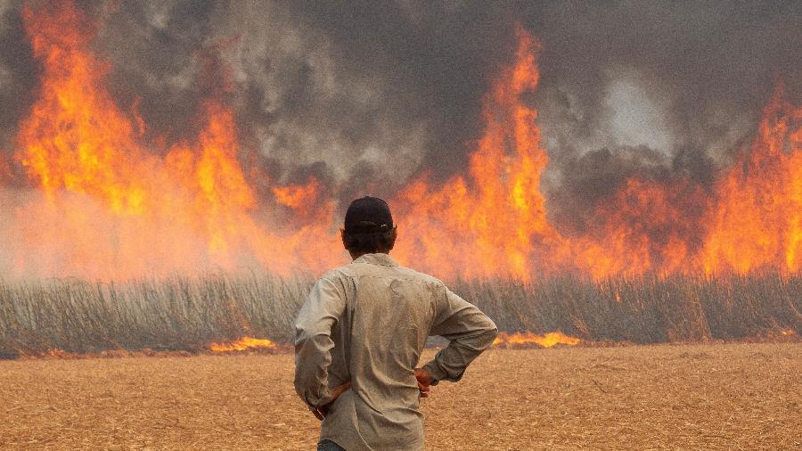 Com 77 mil focos de incêndios em setembro, Brasil é país com mais queimadas no mundo