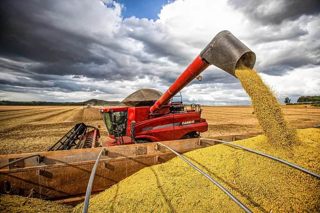 Seis municípios do Piauí respondem por 72% do valor da produção agrícola do estado