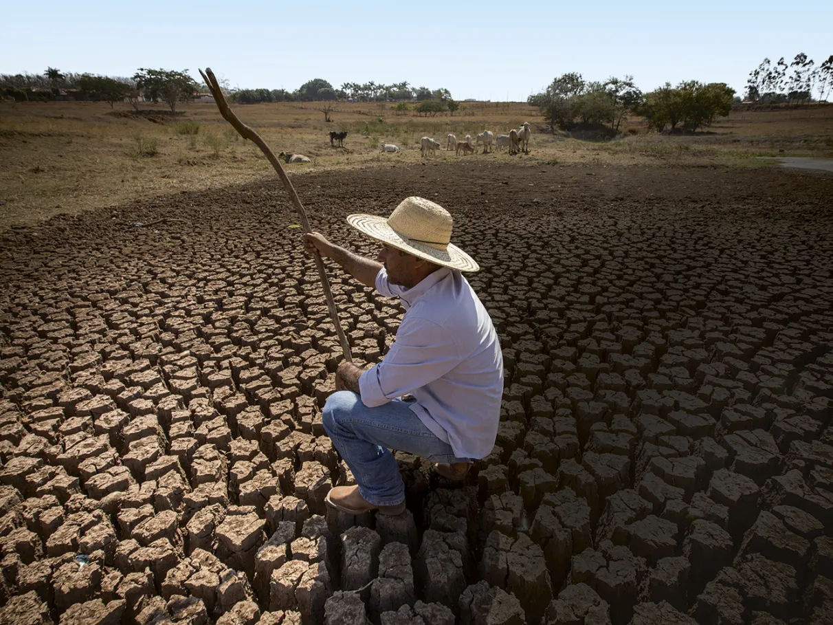Devido à seca, Governo prorroga decreto de situação de emergência em 80 cidades do Piauí