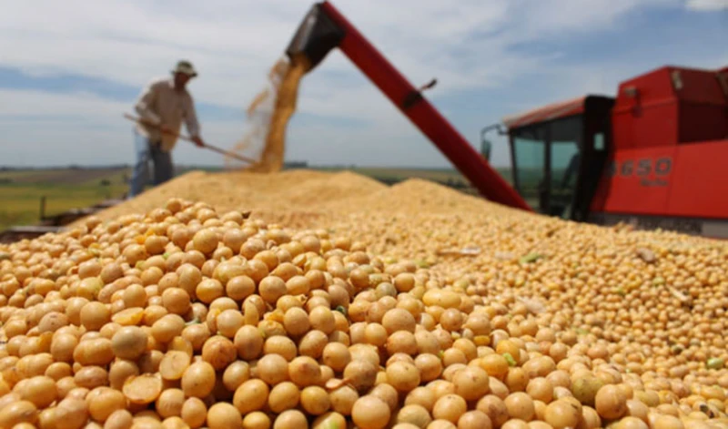 Produção agrícola no Piauí chega a quase R$ 13 bilhões comercializados em 2023