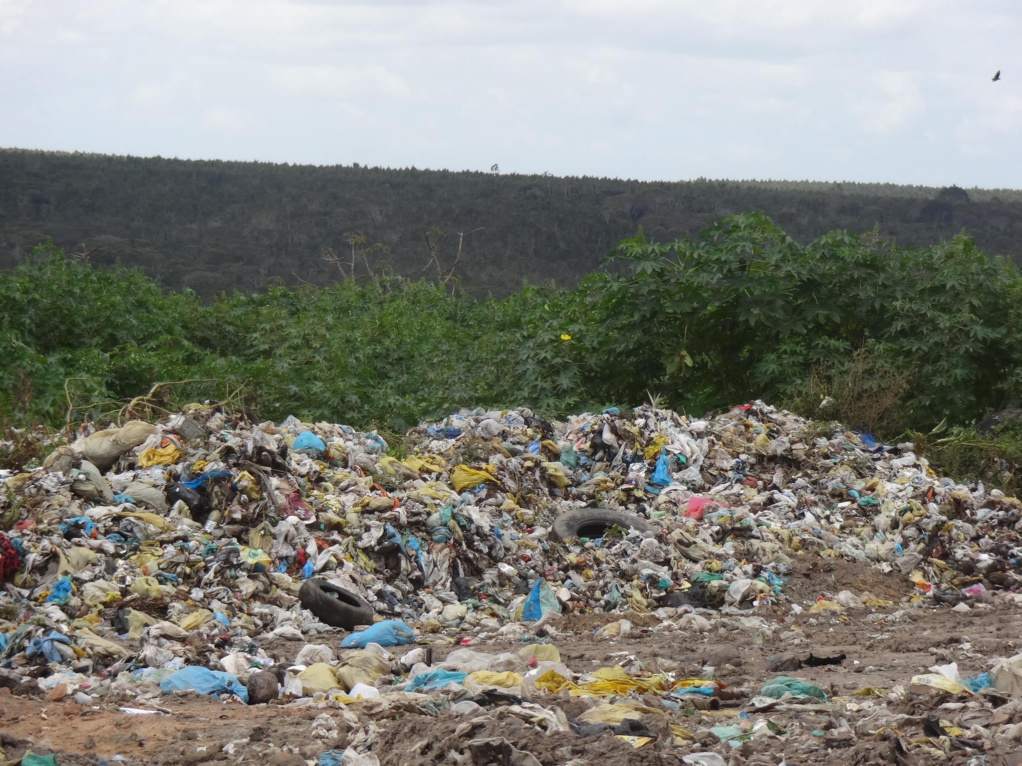 MPPI instaura inquéritos para apurar a erradicação de lixões no sul do Piauí