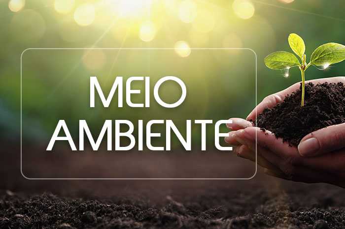 Bom Jesus conquista Selo “A” Ambiental pelo quinto ano consecutivo