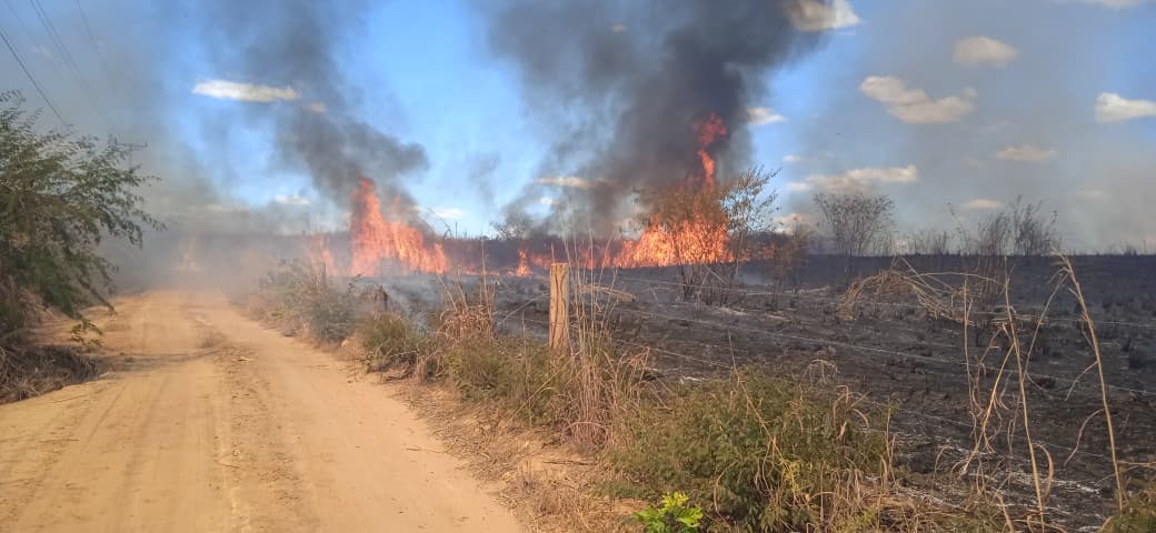 Incêndio atinge zona rural de Bom Jesus e consome 4 hectares de vegetação