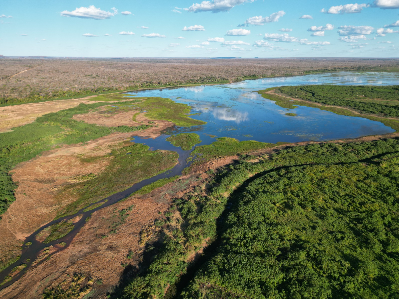 Rio Gurgueia em colapso: trecho desaparece com risco de escassez de água