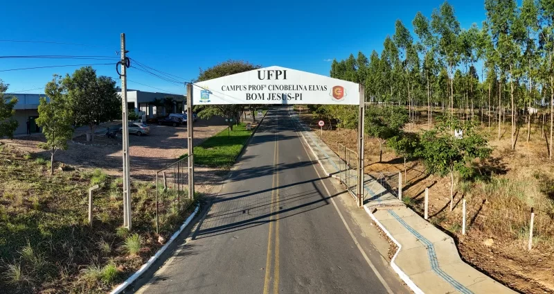 UFPI abre seletivo para professor substituto; salário pode chegar a mais de R$ 8 mil
