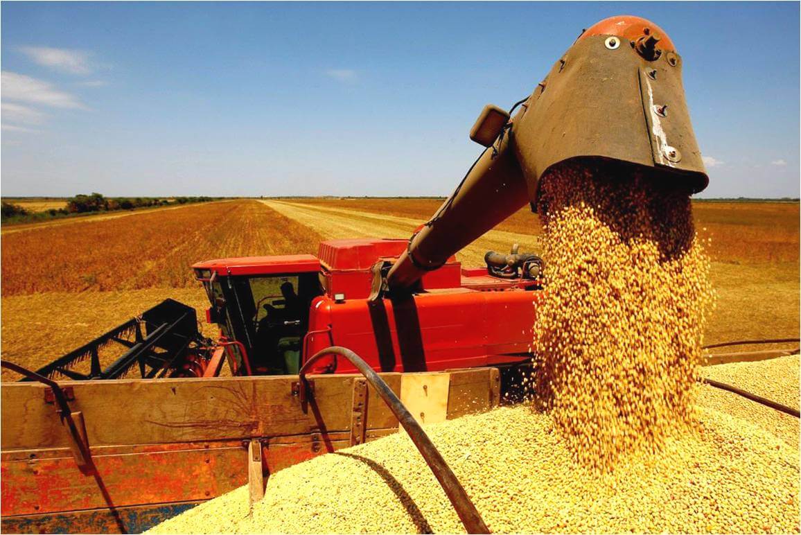 Três municípios concentram metade da produção agrícola do Piauí, aponta IBGE; veja quais