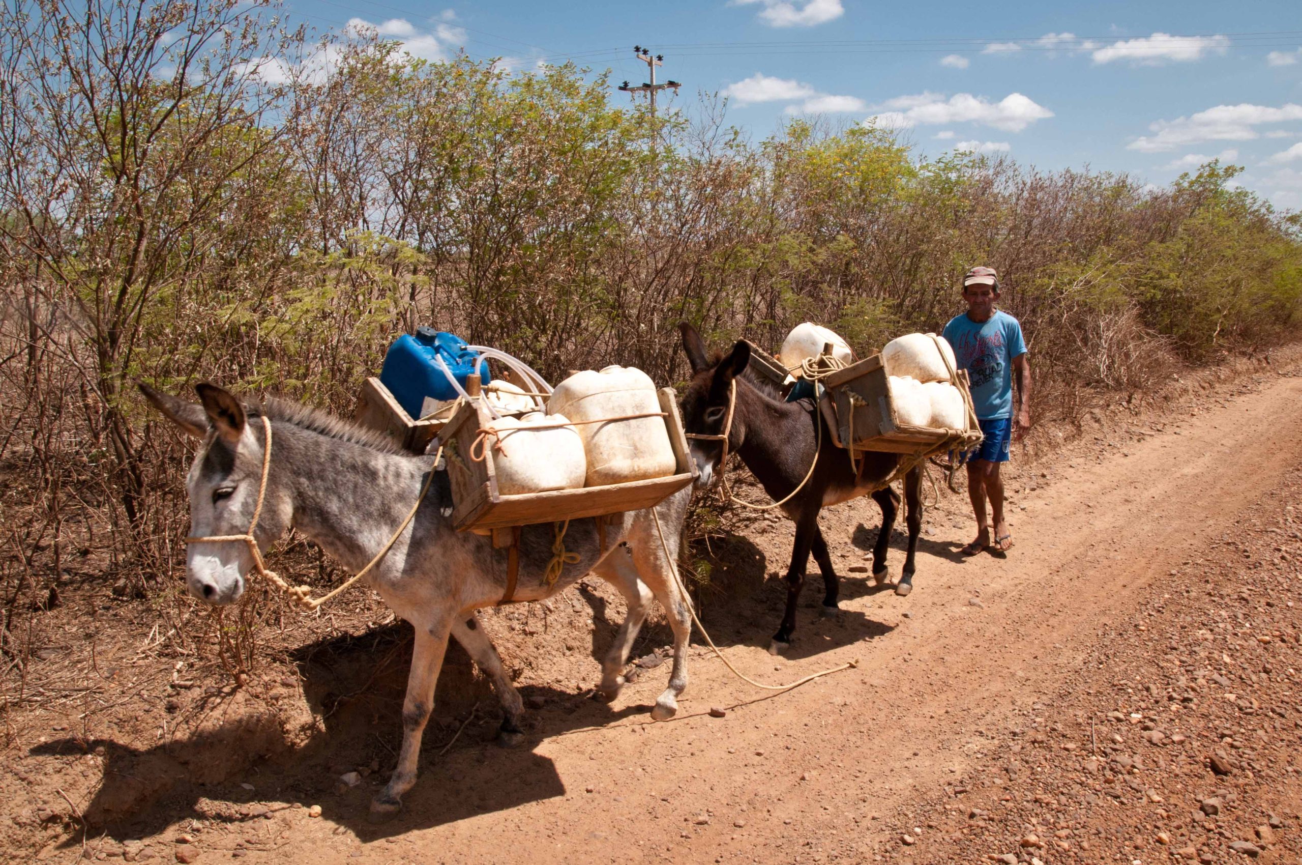 Seca extrema avança e atinge 116 municípios piauienses em setembro