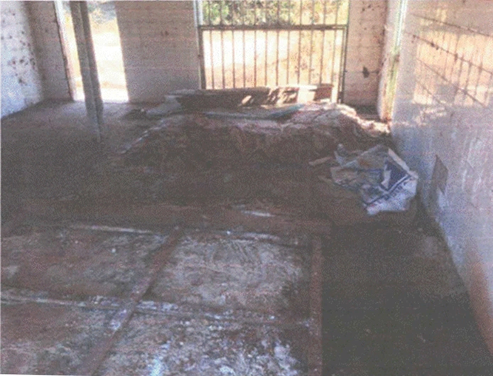 Justiça manda prefeito de Bertolínia interditar matadouro público por condições sanitárias precárias