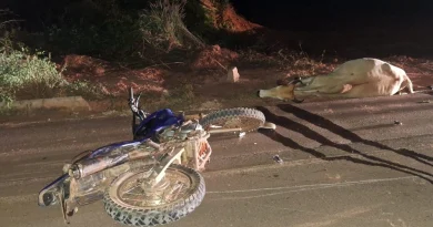 Motociclista morre após colisão contra animal na BR-135 em Gilbués