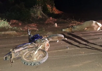 Motociclista morre após colisão contra animal na BR-135 em Gilbués