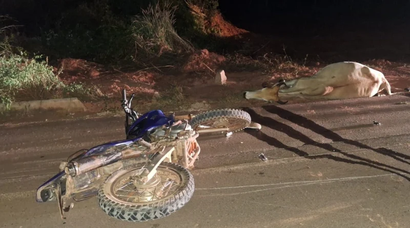 Motociclista morre após colisão contra animal na BR-135 em Gilbués