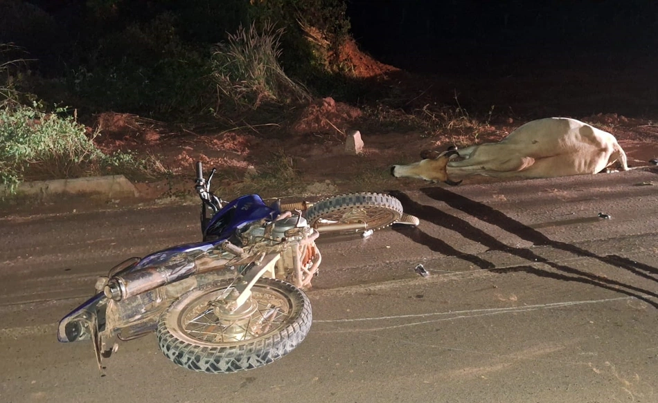 Motociclista morre após colisão contra animal na BR-135 em Gilbués