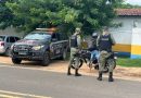 Piauí lidera redução da violência e tem menor taxa de homicídios
