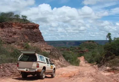 Justiça bloqueia 130 mil hectares suspeitos de grilagem no interior do Piauí