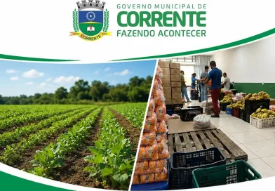Merenda escolar fortalece agricultura familiar e beneficia estudantes em Corrente