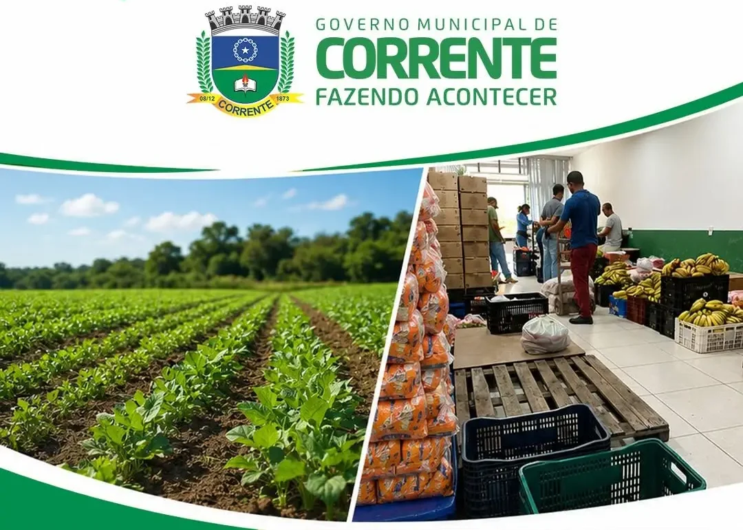 Merenda escolar fortalece agricultura familiar e beneficia estudantes em Corrente