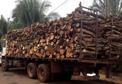 STJ mantém suspensão do uso de lenha do cerrado pela Bunge em Uruçuí