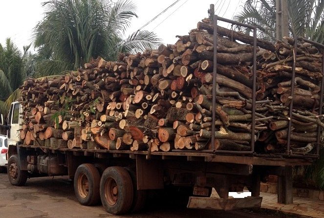 STJ mantém suspensão do uso de lenha do cerrado pela Bunge em Uruçuí