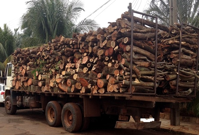 STJ mantém suspensão do uso de lenha do cerrado pela Bunge em Uruçuí