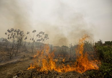 Incêndio no Sul do Piauí já dura 12 dias e destrói mais de 3,3 mil hectares