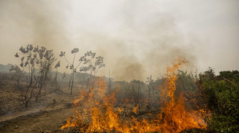 Incêndio no Sul do Piauí já dura 12 dias e destrói mais de 3,3 mil hectares