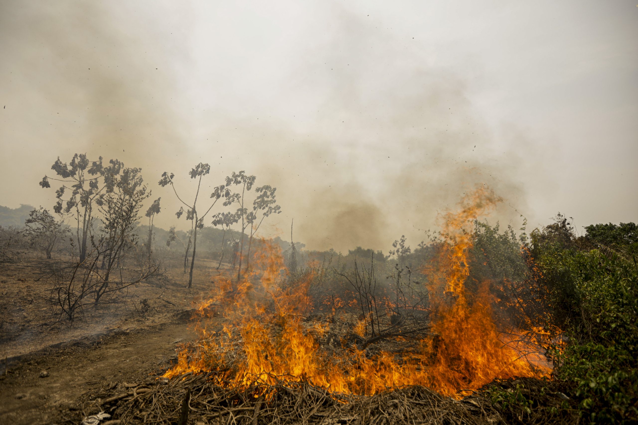 Incêndio no Sul do Piauí já dura 12 dias e destrói mais de 3,3 mil hectares