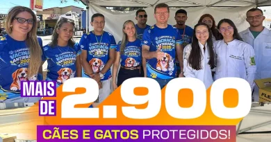 Bom Jesus imuniza mais de 2.900 animais durante o Dia D da Vacinação Antirrábica