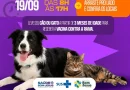 Bom Jesus realiza vacinação antirrábica para cães e gatos neste sábado (19)