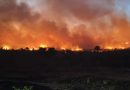 Piauí registra mais de 1mil focos de incêndio em agosto; Floriano lidera lista