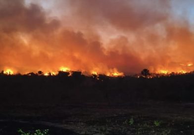 Piauí registra mais de 1mil focos de incêndio em agosto; Floriano lidera lista